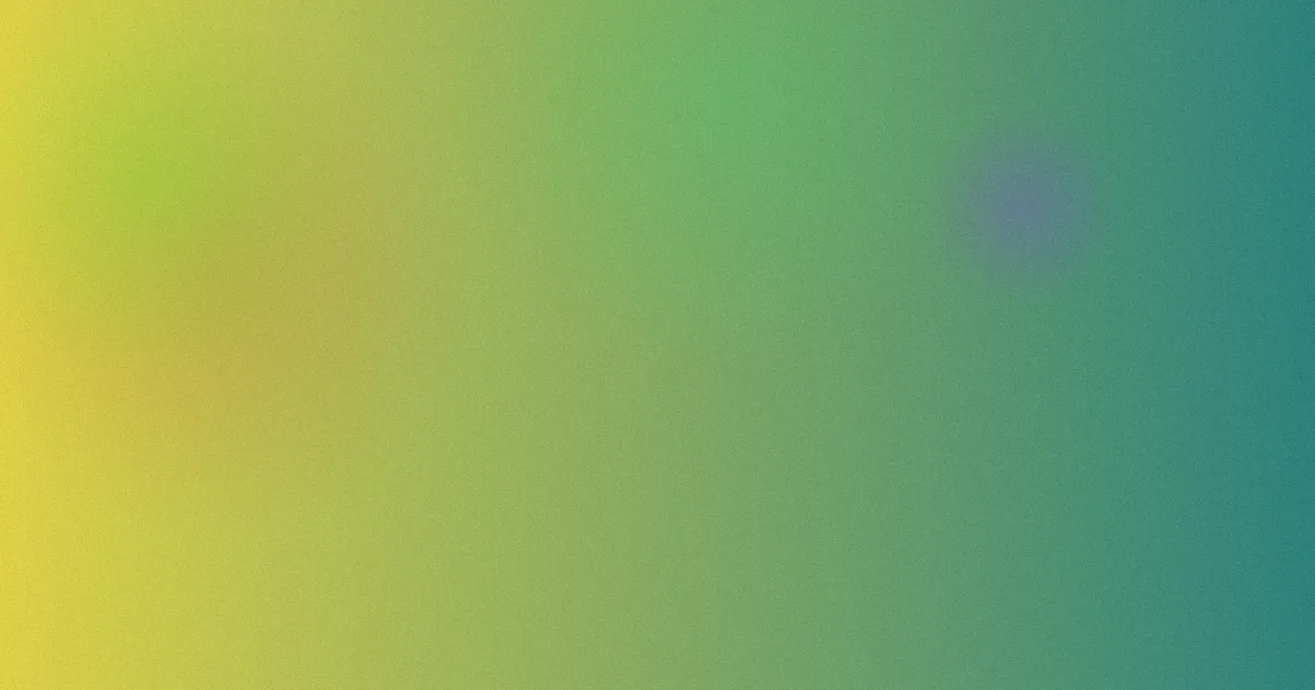 黑袍对比：三种款式的完整选购复盘